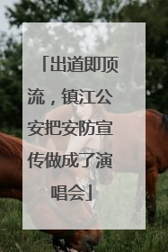出道即顶流，镇江公安把安防宣传做成了演唱会